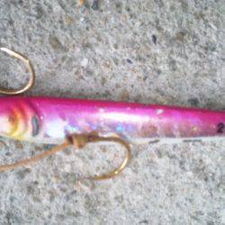 ワインドとジギング