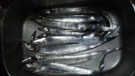 タチウオ　ジギング