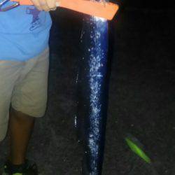 初めての大物！？