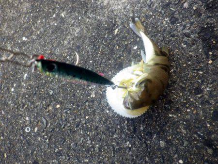 どうにかボウズは免れた・・・