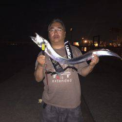 ドラゴンが来たよ