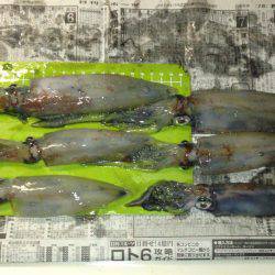 地元でケンサキ