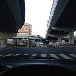 お盆、タチウオ好調