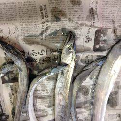 チビ太刀だらけ