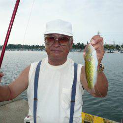 二見港水道へ釣行しました