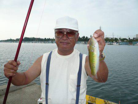 二見港水道へ釣行しました