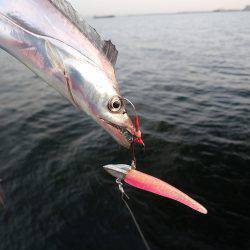 連日の爆釣劇♪