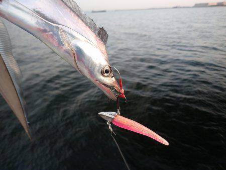 連日の爆釣劇♪