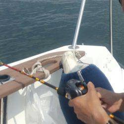 須磨で太刀魚&キス♪