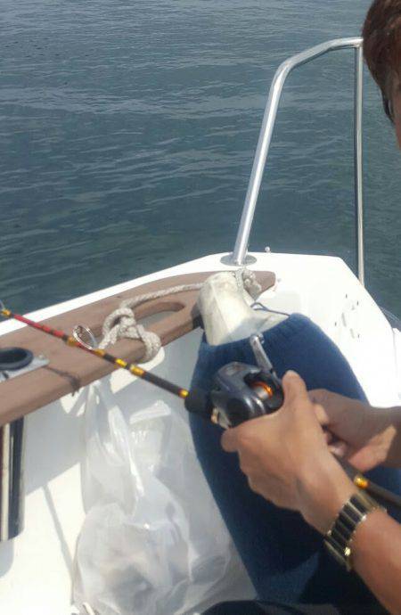 須磨で太刀魚&キス♪