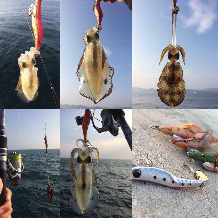 またまた新子調査