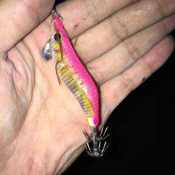 ライトエギング