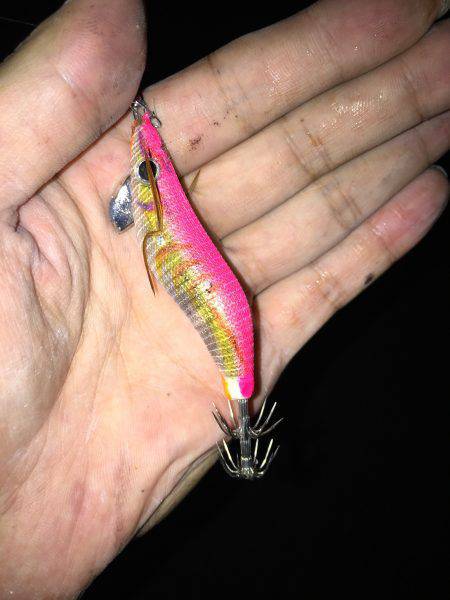 ライトエギング