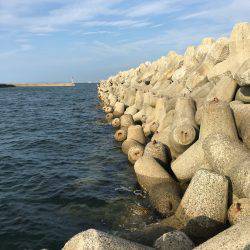 てんぷら具材確保へ