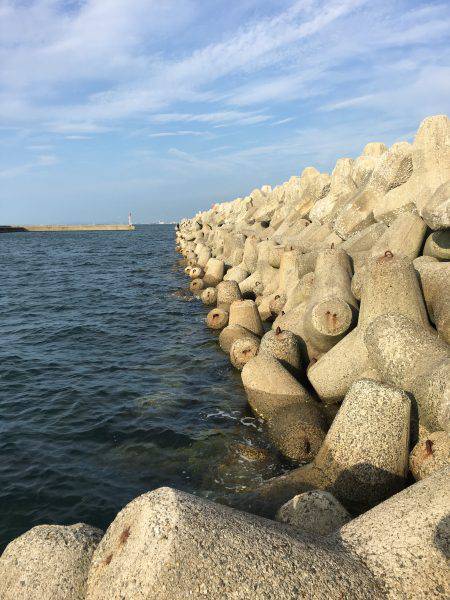 てんぷら具材確保へ