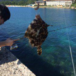 色んな釣り方in竹野