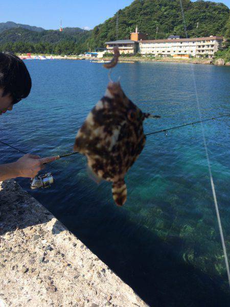 色んな釣り方in竹野