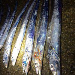 北港太刀魚‼︎