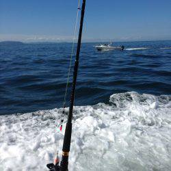 初船上タコ釣り