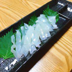 ファミリーフィッシング