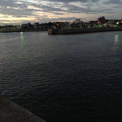 アジ×10〜15㎝×40匹