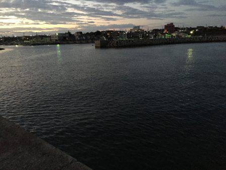 アジ×10〜15㎝×40匹