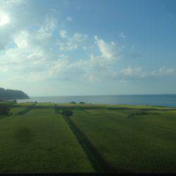 暑さに負けず 伊根調査