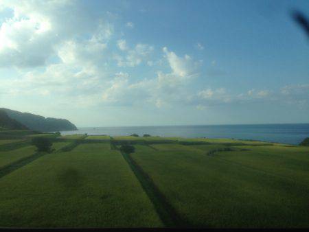 暑さに負けず 伊根調査