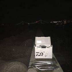 仕事帰りの太刀魚釣り