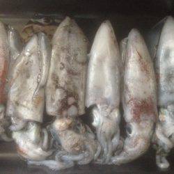 寝過ごし‥30分のみ