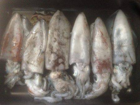 寝過ごし‥30分のみ