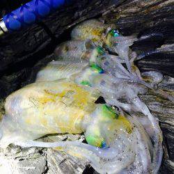 あちこちランガン‼︎