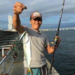 ツバス、アジ、好調