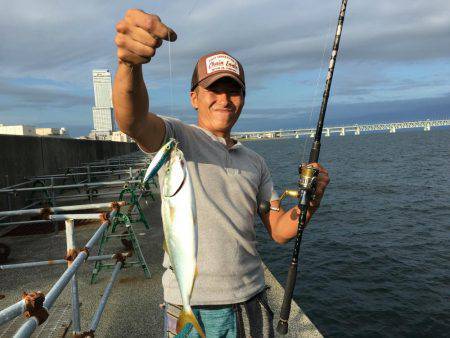 ツバス、アジ、好調