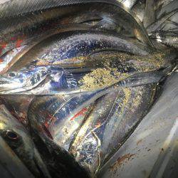 意地になってしまいました!