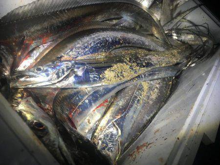 意地になってしまいました!