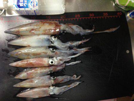 リベンジエギング