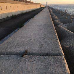 サゴシ不発、   タチウオ当たり