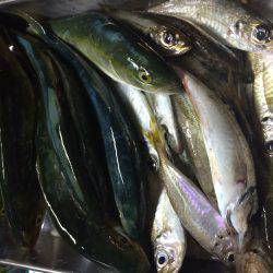 久しぶりの釣り