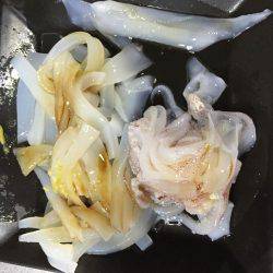 大型ケンサキゲット！