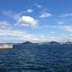 エギング最高( ´ ▽ ` )ﾉ