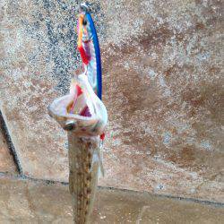 スタートはやっぱり外道