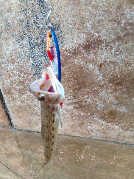 スタートはやっぱり外道