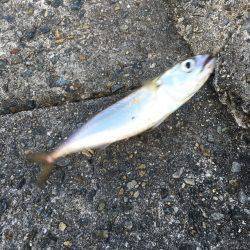 ハード釣行2日目!!