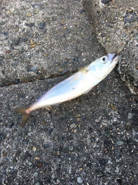 ハード釣行2日目!!