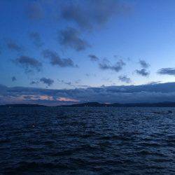 初ソーダカツオ