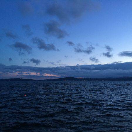 初ソーダカツオ