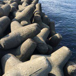 オクトパッシング