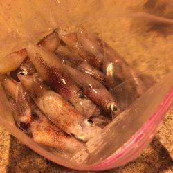 ライケン二回目