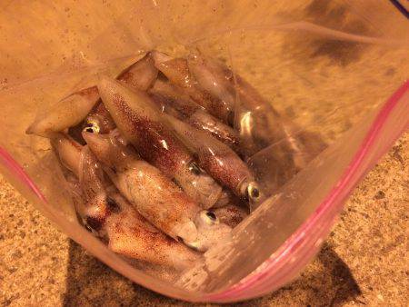 ライケン二回目